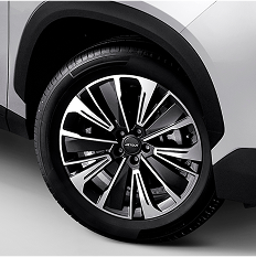 dashing ekterior 3 dashing ekterior 3