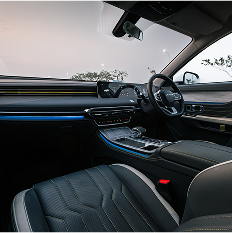 dashing interior 6 dashing interior 6